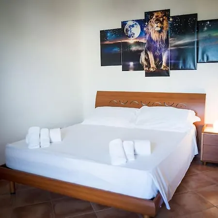 La Casa Dei Sogni Esotici A Roma